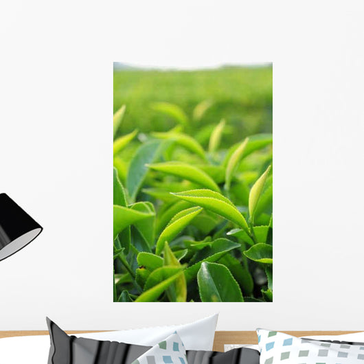 Young Green Tea Leaves Wall Decal