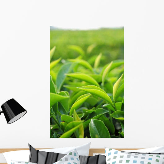 Young Green Tea Leaves Wall Decal