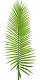 Palme Wall Decal