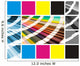 Collage Color Cmyk Wall Decal