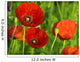 Red Poppy Wall Decal Design 3