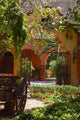 Mexican Garden Wall Decal