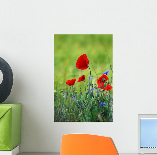 Poppies Wall Decal