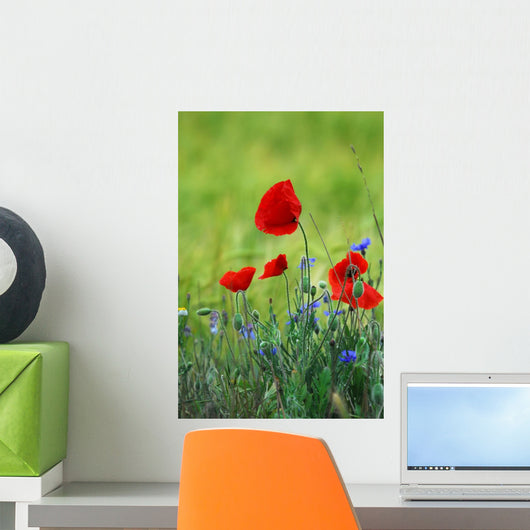 Poppies Wall Decal