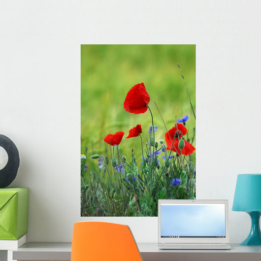 Poppies Wall Decal
