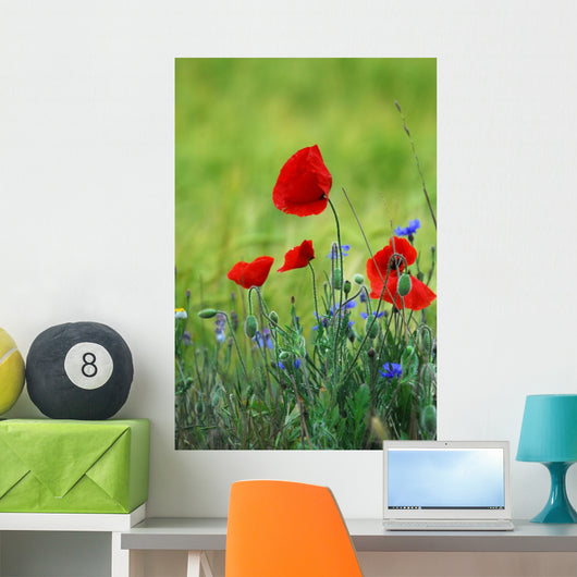 Poppies Wall Decal