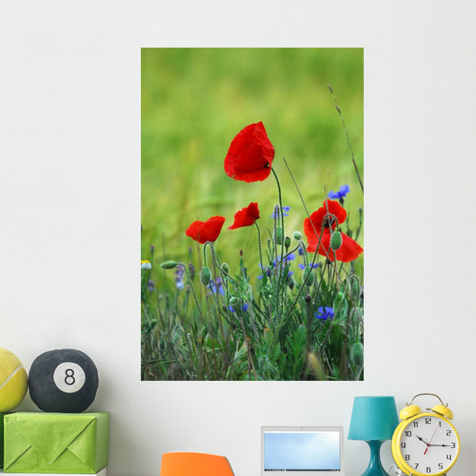 Poppies Wall Decal