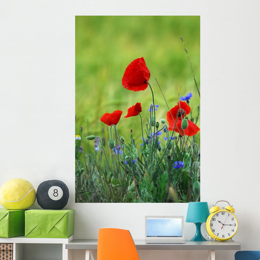 Poppies Wall Decal