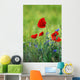 Poppies Wall Decal
