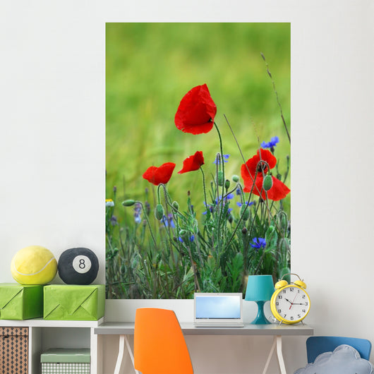 Poppies Wall Decal