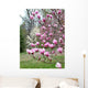 Pink Magnolias Wall Decal