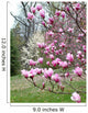 Pink Magnolias Wall Decal