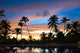Caribbean Dream Vacation Palms Wall Decal