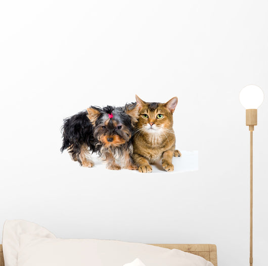 Puppy and Cat Studio Wall Decal Design 1