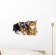 Puppy and Cat Studio Wall Decal Design 1