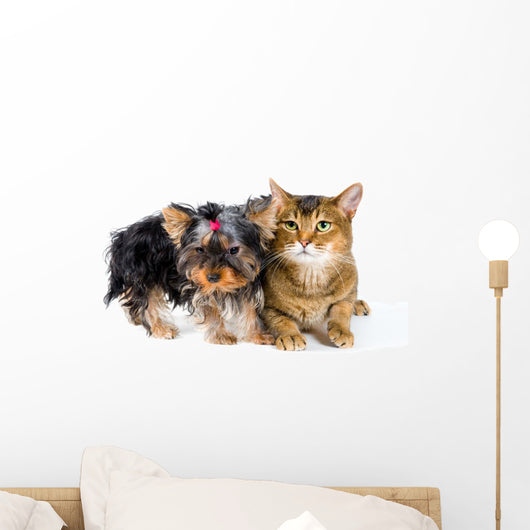 Puppy and Cat Studio Wall Decal Design 1