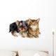 Puppy and Cat Studio Wall Decal Design 1