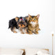 Puppy and Cat Studio Wall Decal Design 1
