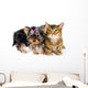 Puppy and Cat Studio Wall Decal Design 1