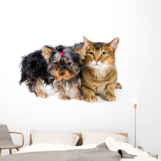 Puppy and Cat Studio Wall Decal Design 1