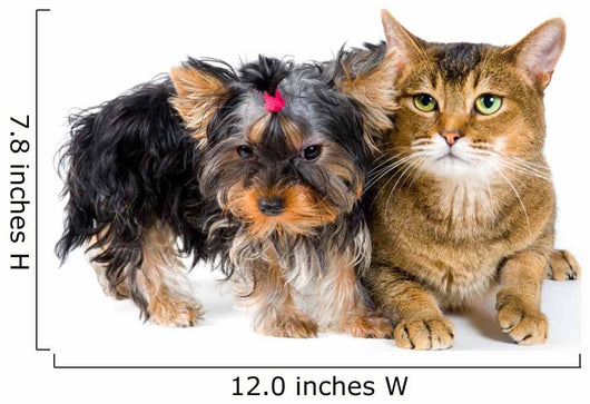Puppy and Cat Studio Wall Decal Design 1