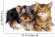 Puppy and Cat Studio Wall Decal Design 1