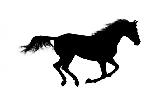 Silhouette Galloping Stallion Wall Decal