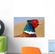 Pheasant Male Closeup Wall Decal