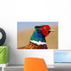 Pheasant Male Closeup Wall Decal