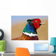 Pheasant Male Closeup Wall Decal