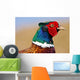 Pheasant Male Closeup Wall Decal