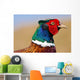 Pheasant Male Closeup Wall Decal