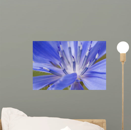Wildflower Macro Wall Decal