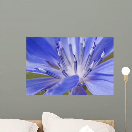 Wildflower Macro Wall Decal