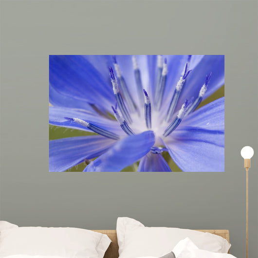Wildflower Macro Wall Decal