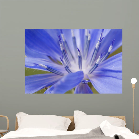 Wildflower Macro Wall Decal