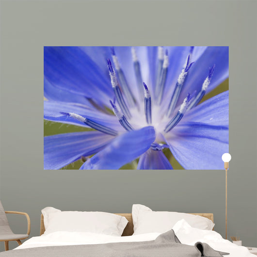 Wildflower Macro Wall Decal