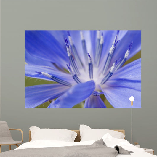 Wildflower Macro Wall Decal