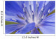 Wildflower Macro Wall Decal