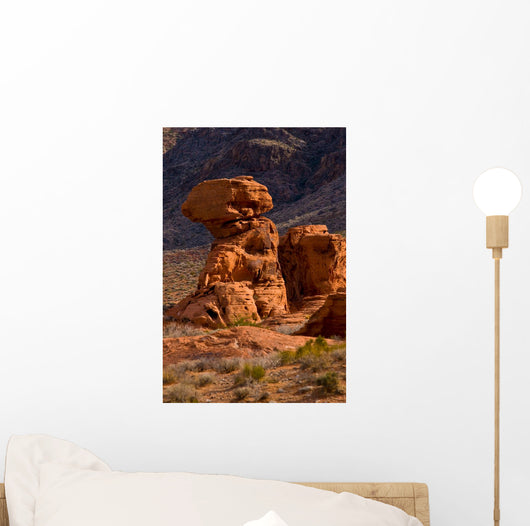 Valley Fire State Park Wall Decal