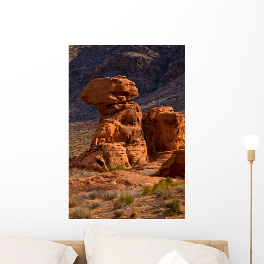 Valley Fire State Park Wall Decal