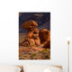 Valley Fire State Park Wall Decal