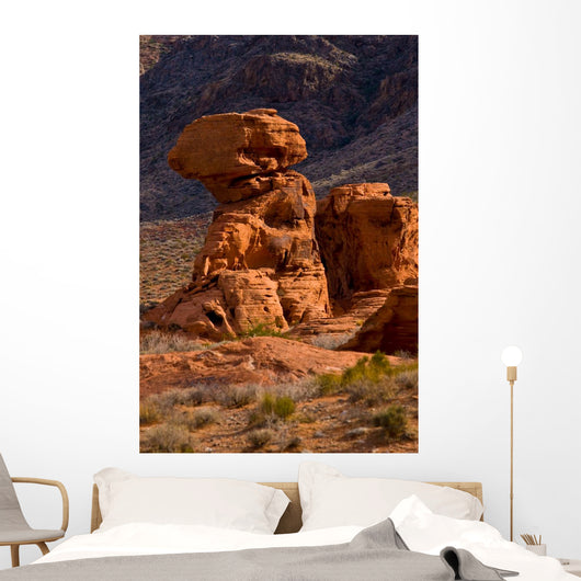 Valley Fire State Park Wall Decal