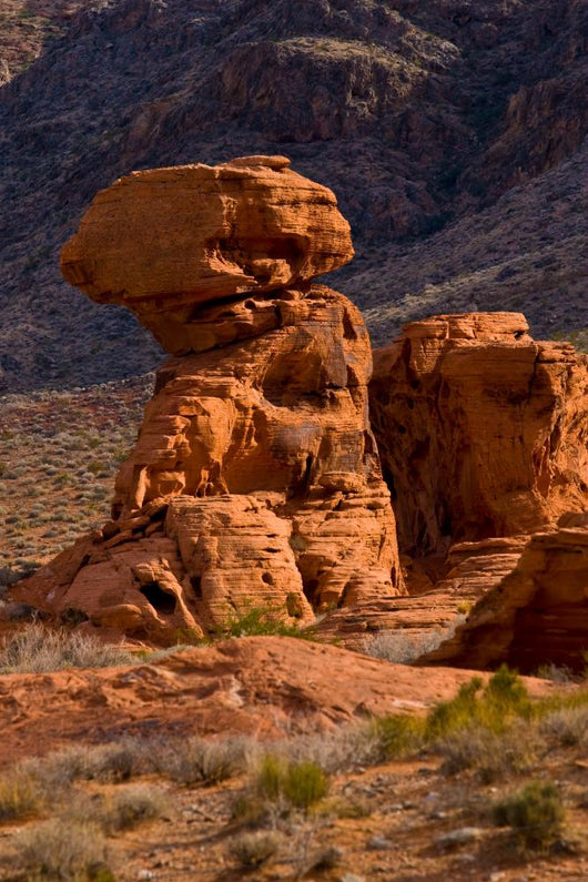 Valley Fire State Park Wall Decal