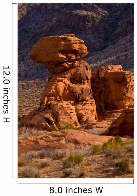 Valley Fire State Park Wall Decal