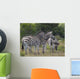 Zebras Wall Decal