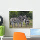 Zebras Wall Decal