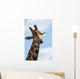 What Are You Looking Wall Decal