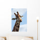 What Are You Looking Wall Decal