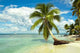 Tropical Beach Wall Decal Design 3